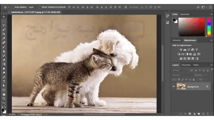 تحميل فوتوشوب للكمبيوتر ويندوز 10 2026 Adobe Photoshop